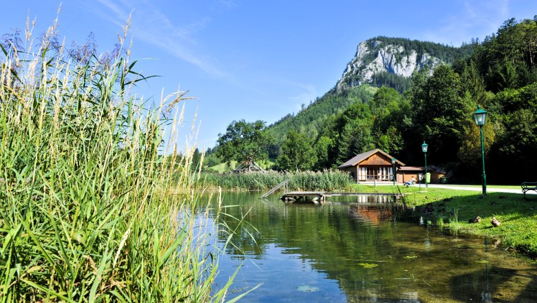 Falkenstein Fischteich