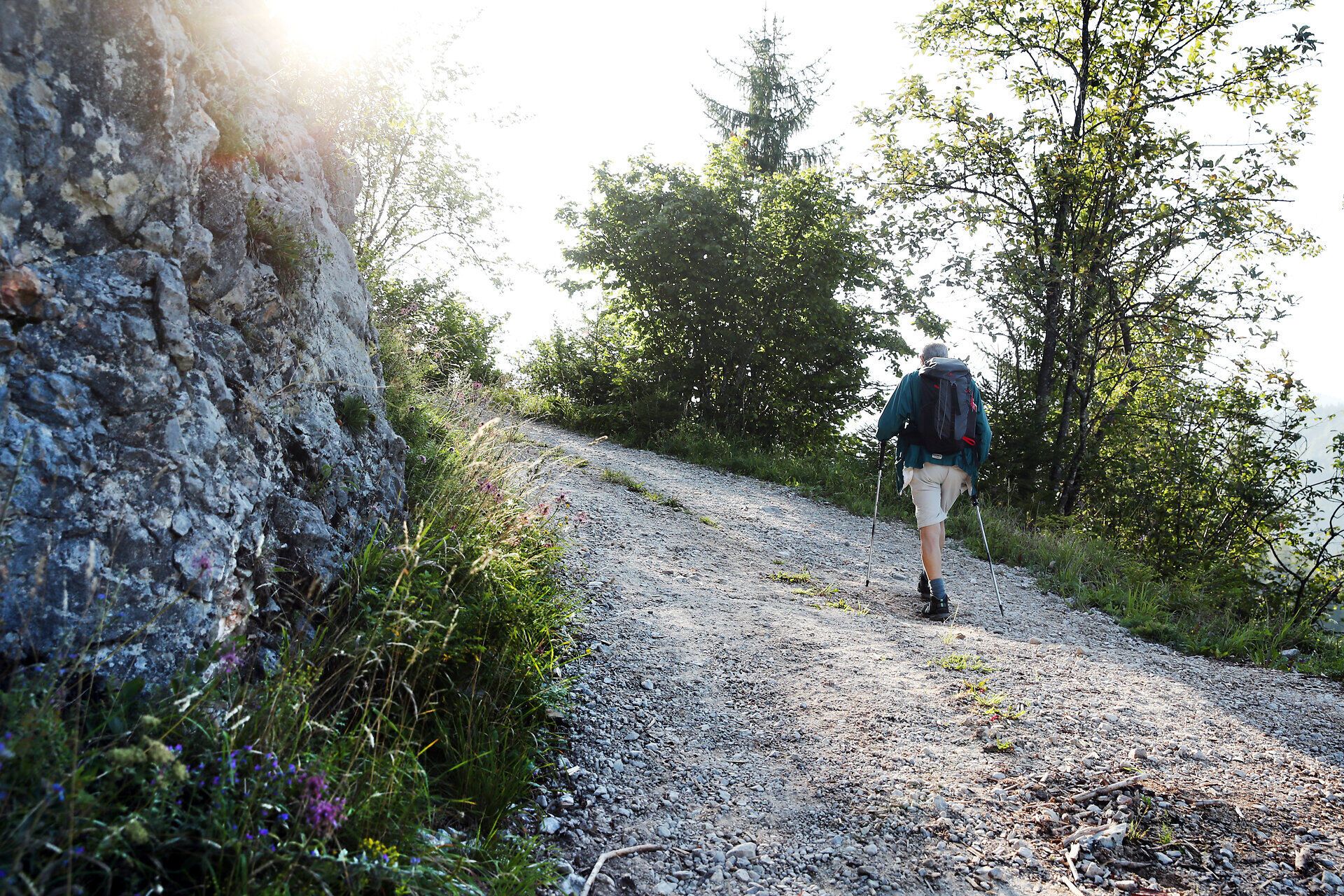 Ein Mann wandert entlang einer Schotterstraße im Naturpark Falkenstein. 