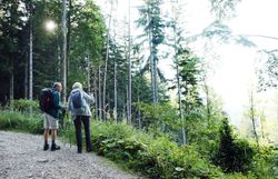 Ein Paar wandert entlang einer Schotterstraße im Naturpark Falkenstein und genießt den Ausblick. 