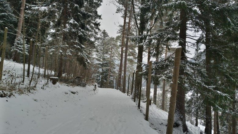 Spaziergang durch den Naturpark
