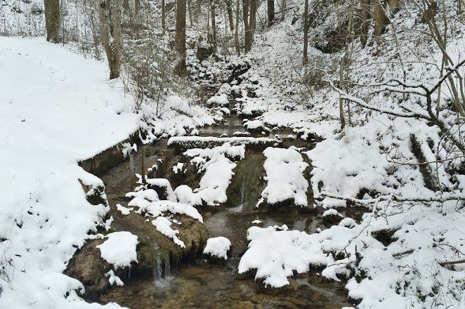 Bach durch den Naturpark