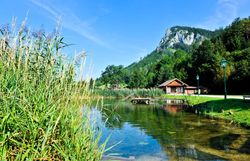 Die sanften Wellen des Wassers spiegeln die üppige Natur wider, während die majestätischen Berge im Hintergrund eine beeindruckende Kulisse bieten. Hier, wo die Ruhe der Natur auf die Schönheit des Sommers trifft, lädt die Umgebung zum Entspannen und Erkunden ein.