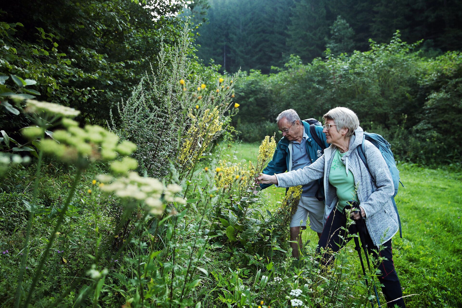 Ein Paar betrachtet die Vegetation am Wegesrand im Naturpark Falkenstein. 