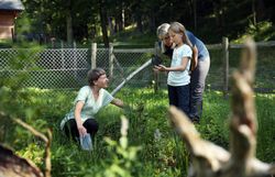Zwei Frauen und ein Mädchen stehen an einem Teich im Naturpark Falkenstein. Das Mädchen hält einen Kescher in der Hand und betrachtet diesen genauer. 