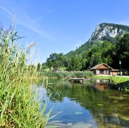 Falkenstein Fischteich