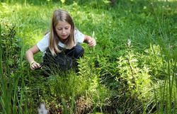 Ein Mädchen hockt an einem Teich im Naturpark Falkenstein und versucht mit einem kleinen Kescher Tiere zu fangen. 