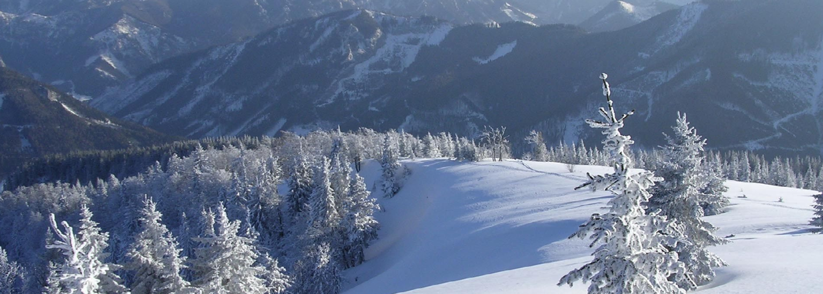 Winter im | Naturpark Falkenstein, © POV