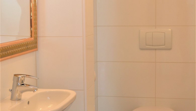 Kleines Badezimmer mit Waschbecken, Spiegel, Toilette, M&uuml;lleimer und Toilettenb&uuml;rste.