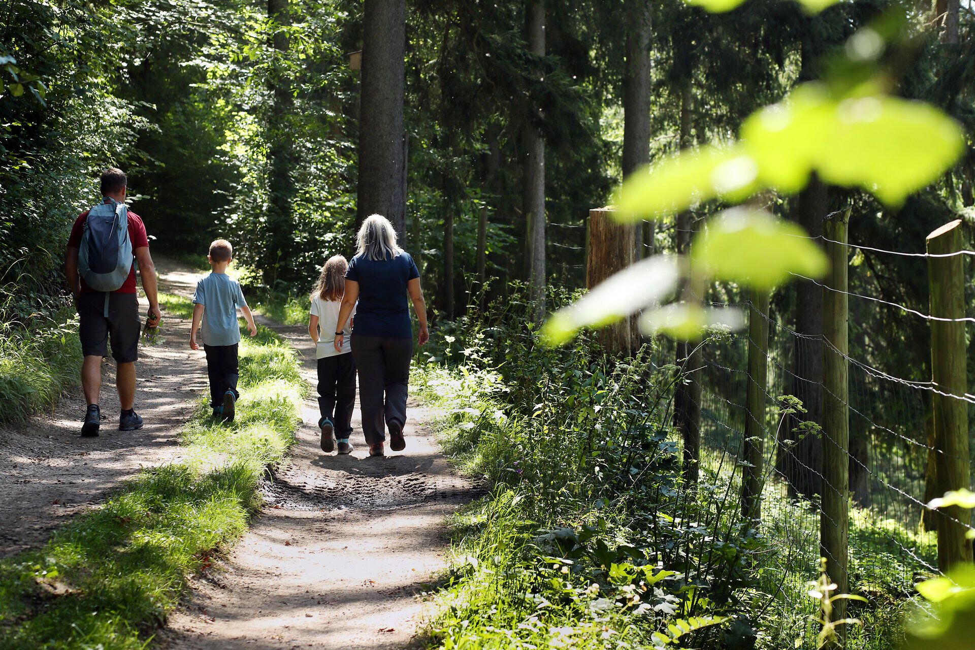 Eine Familie wandert entlang eines Schotterwegs neben dem Wildtiergehege im Naturpark Falkenstein. 