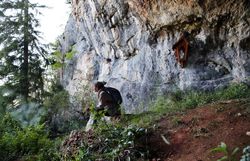 Eine Frau genießt den Ausblick von einem Rastplatz im Naturpark Falkenstein. 