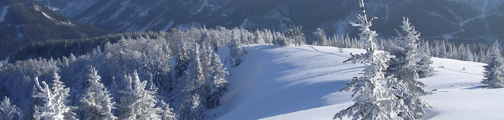 Winter im | Naturpark Falkenstein, © POV